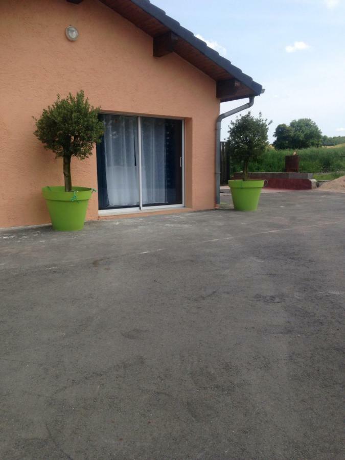 cosy logement à la campagne Marthille Exterior foto